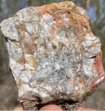 Lake Cargelligo, samples from the Josephine Moulder target have high gold value.