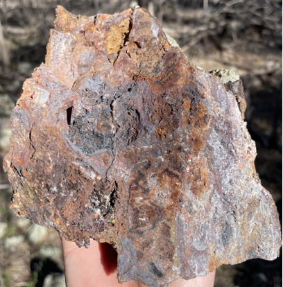 Lake Cargelligo, samples from the Josephine Moulder target have high gold value.
