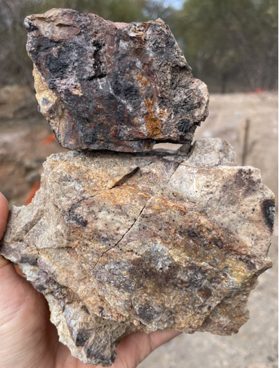 Lake Cargelligo, samples from the Josephine Moulder target have high gold value.